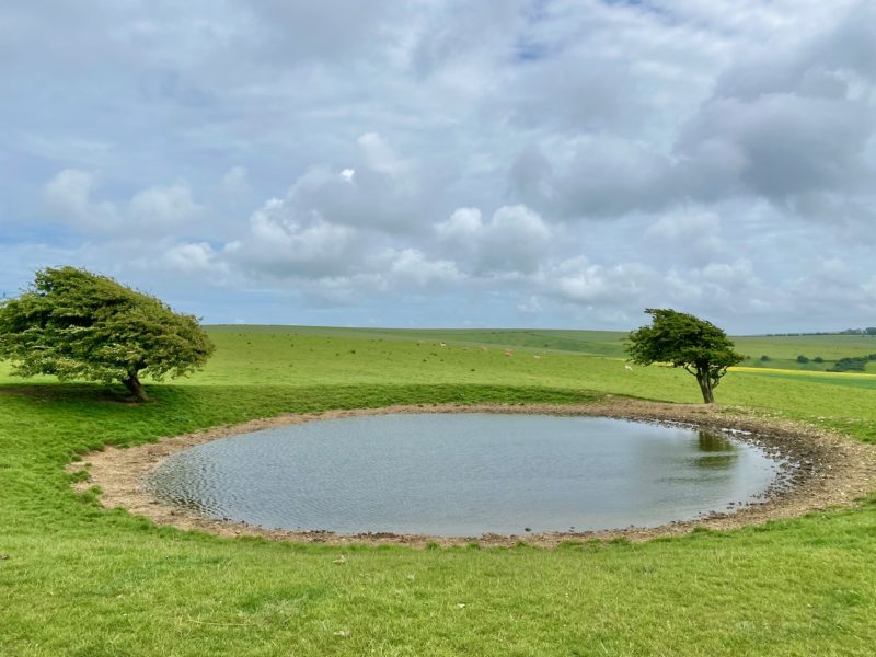 South Downs Way. Image © PlanetSKI